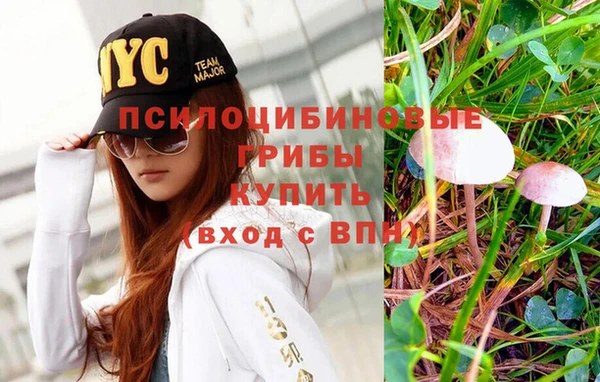 бутират Алзамай