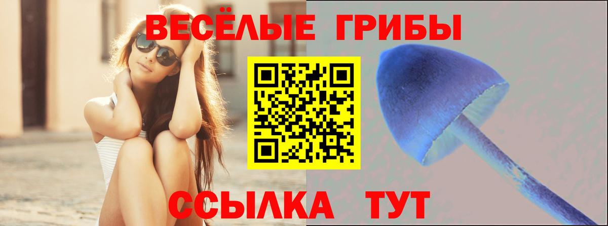 Амурск  Псилоцибиновые грибы Cubensis  Галлюциногенные грибы ЛСД  Вход с VPN 